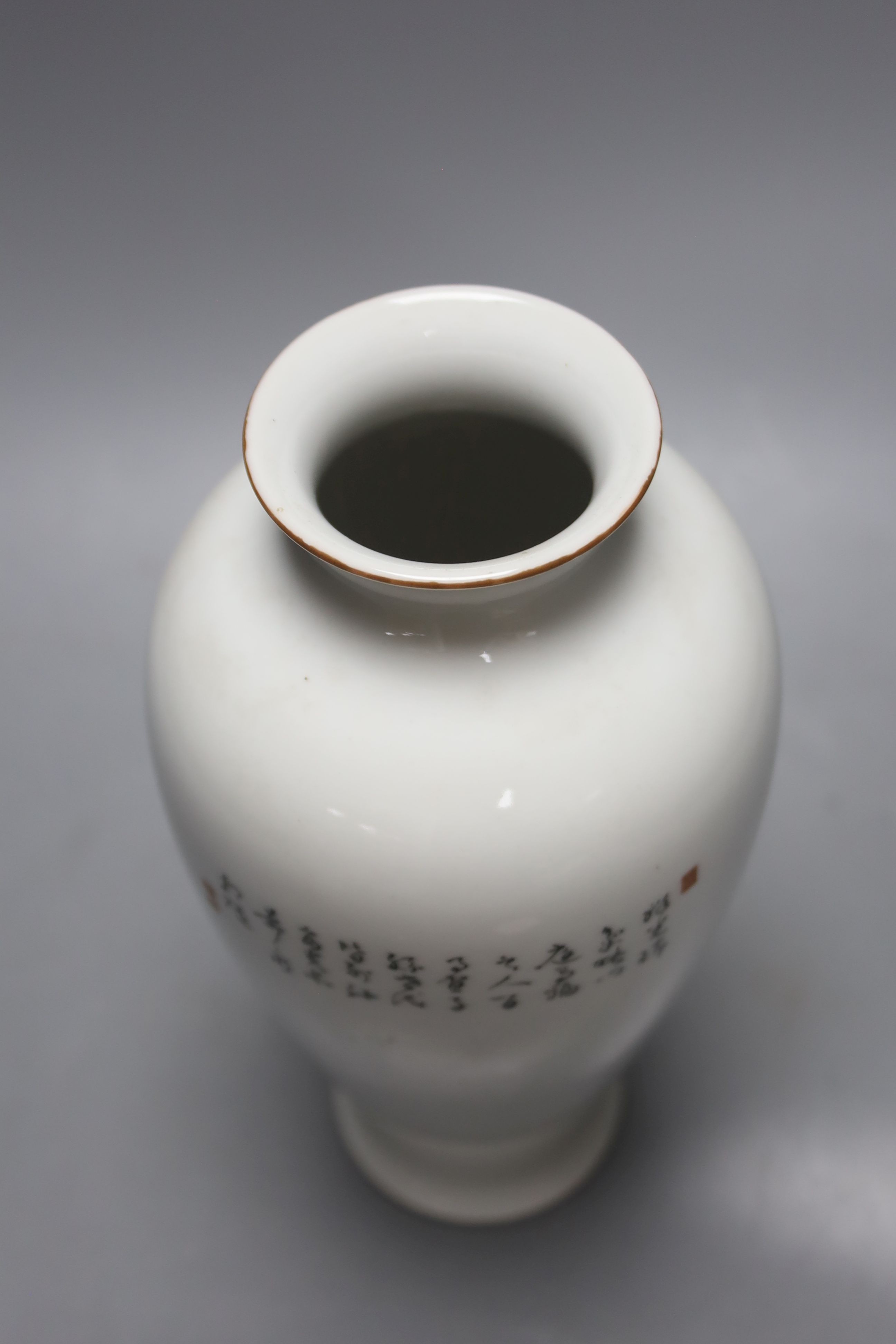 A Chinese enamelled porcelain vase, Qianlong mark, 24.5cm